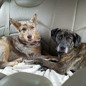 Team Page: Manor Of Hope